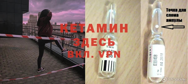 шишки Няндома