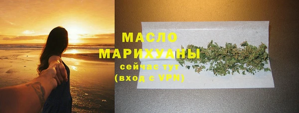 шишки Няндома