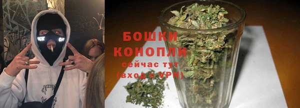СК Новозыбков
