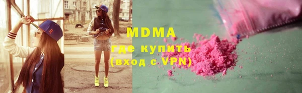шишки Няндома