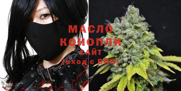 шишки Няндома