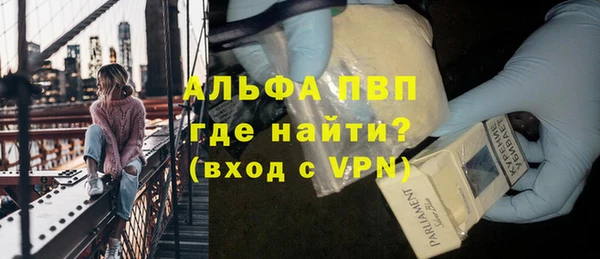 СК Новозыбков